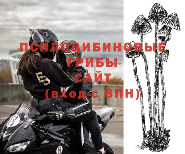 метадон Алзамай